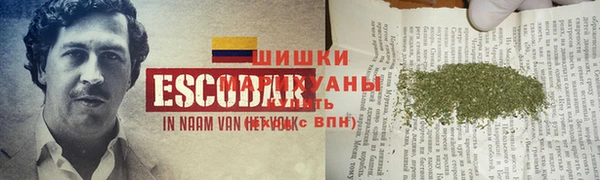 скорость Бородино